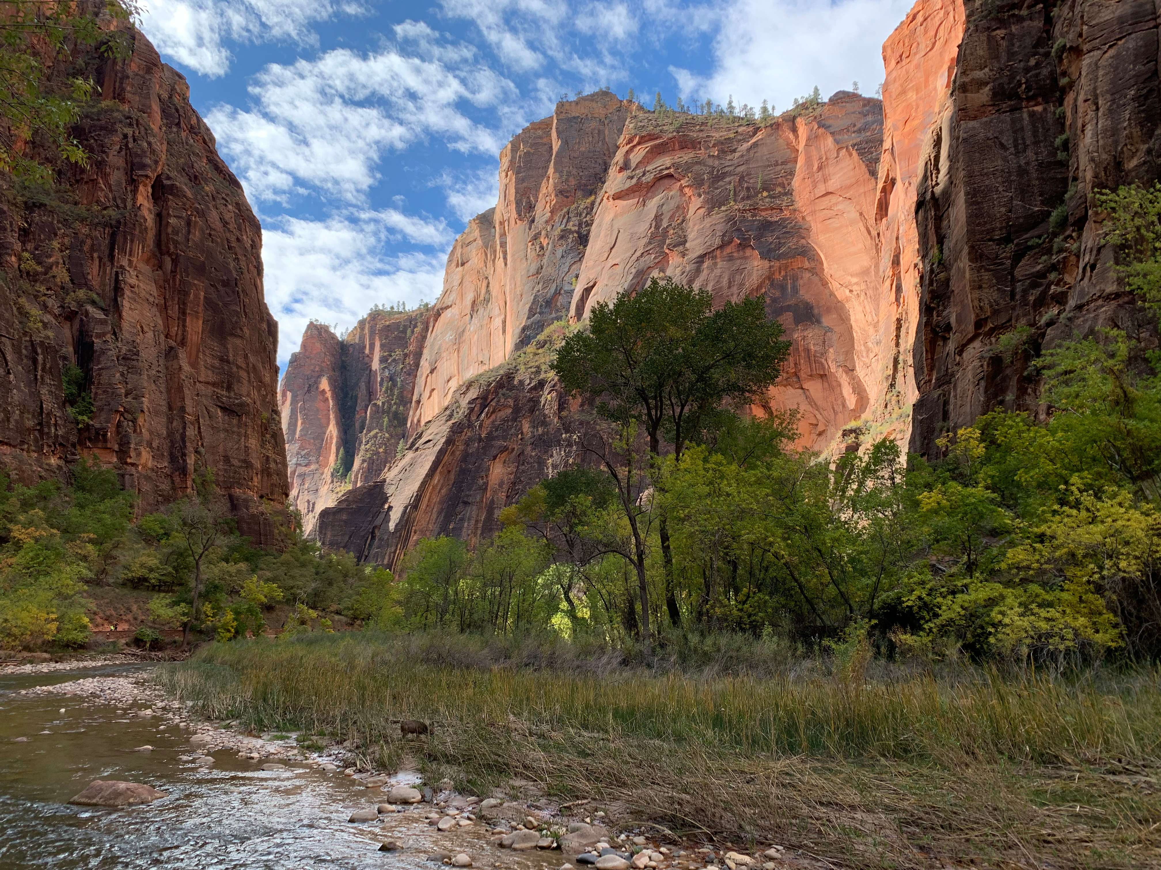 Zion NP